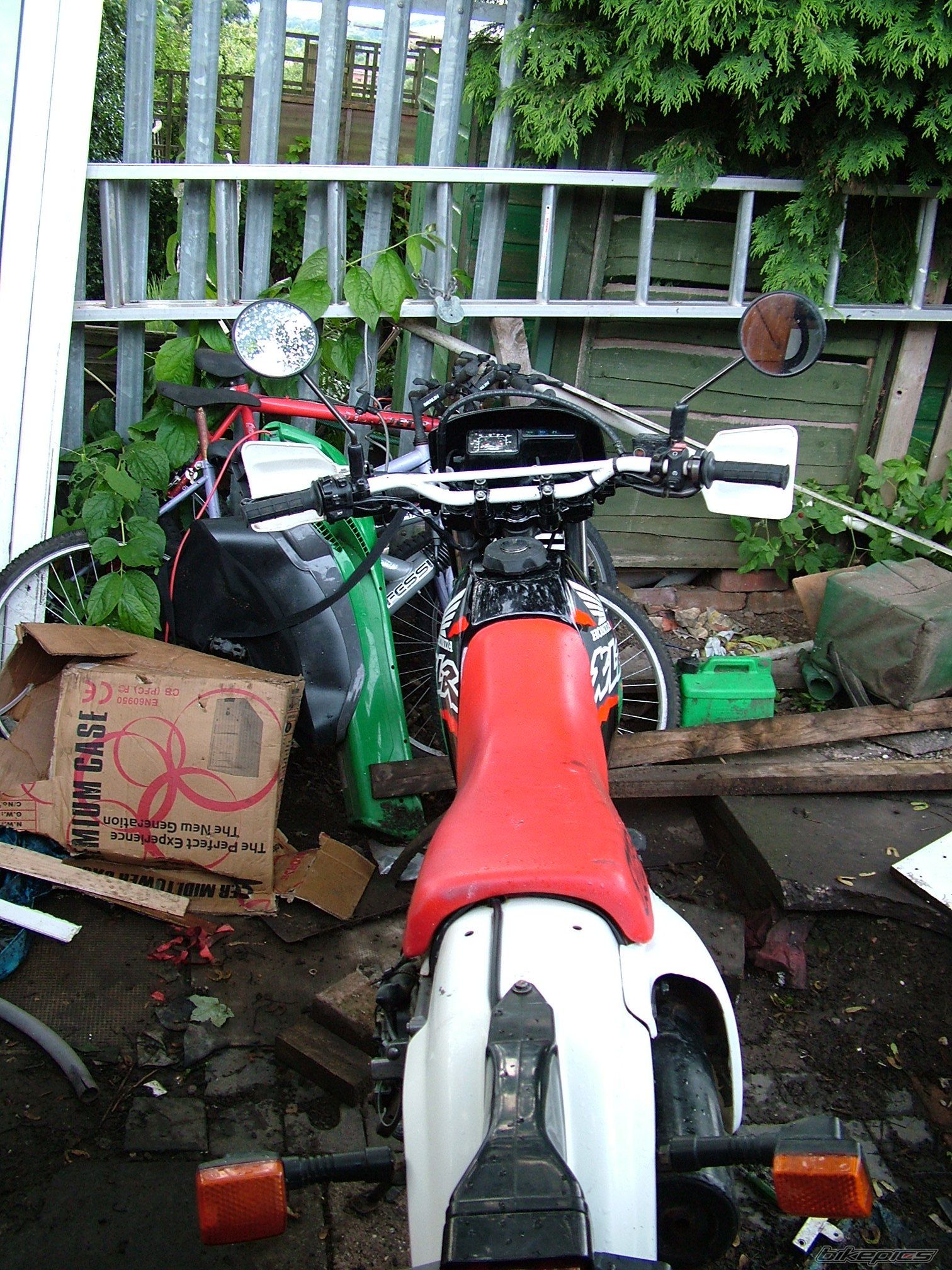 Photo 962629