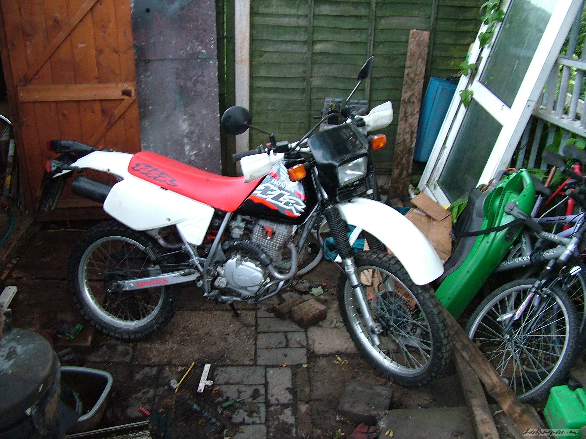 Photo 962633
