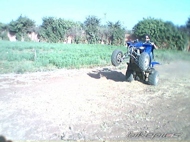 Photo 96271