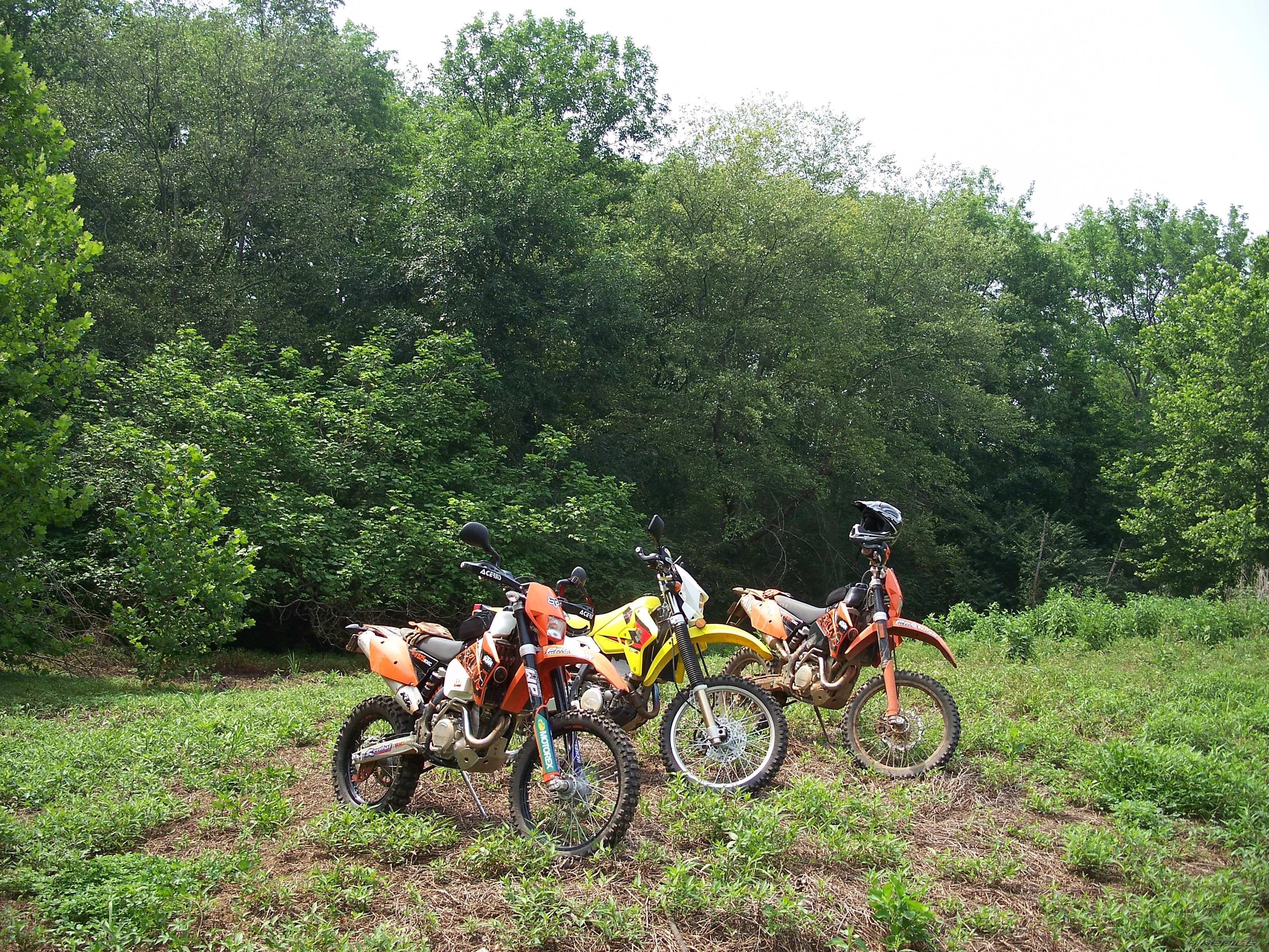 Photo 962812