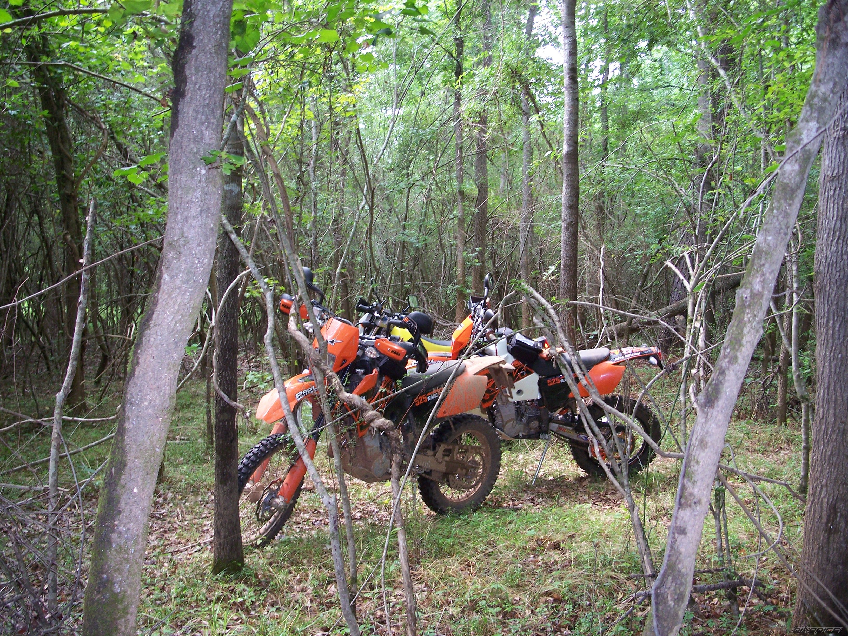 Photo 962814
