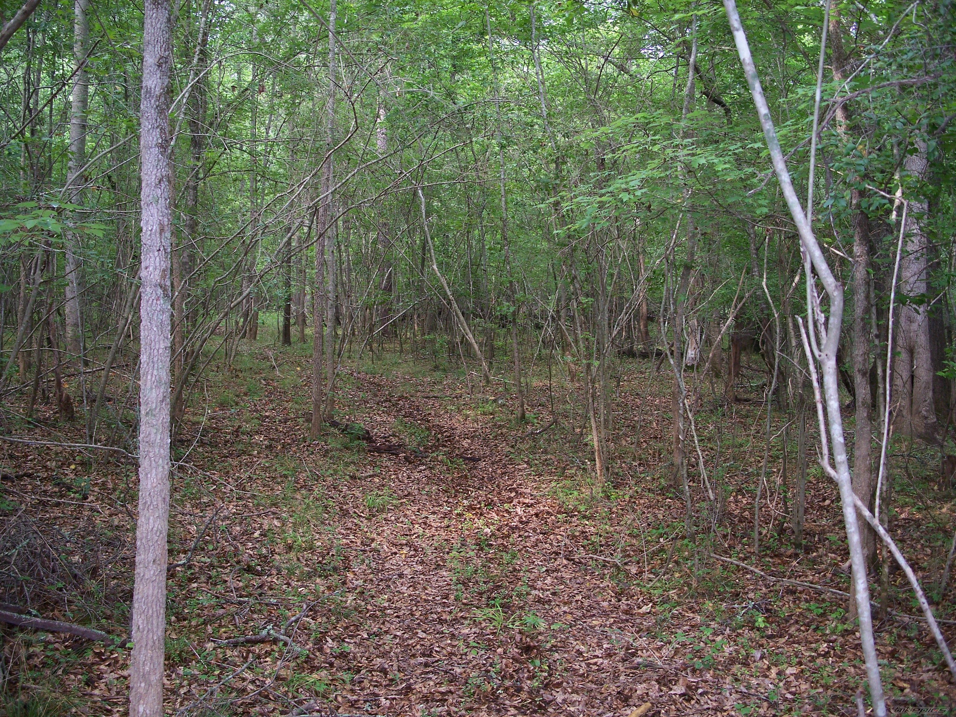 Photo 962815