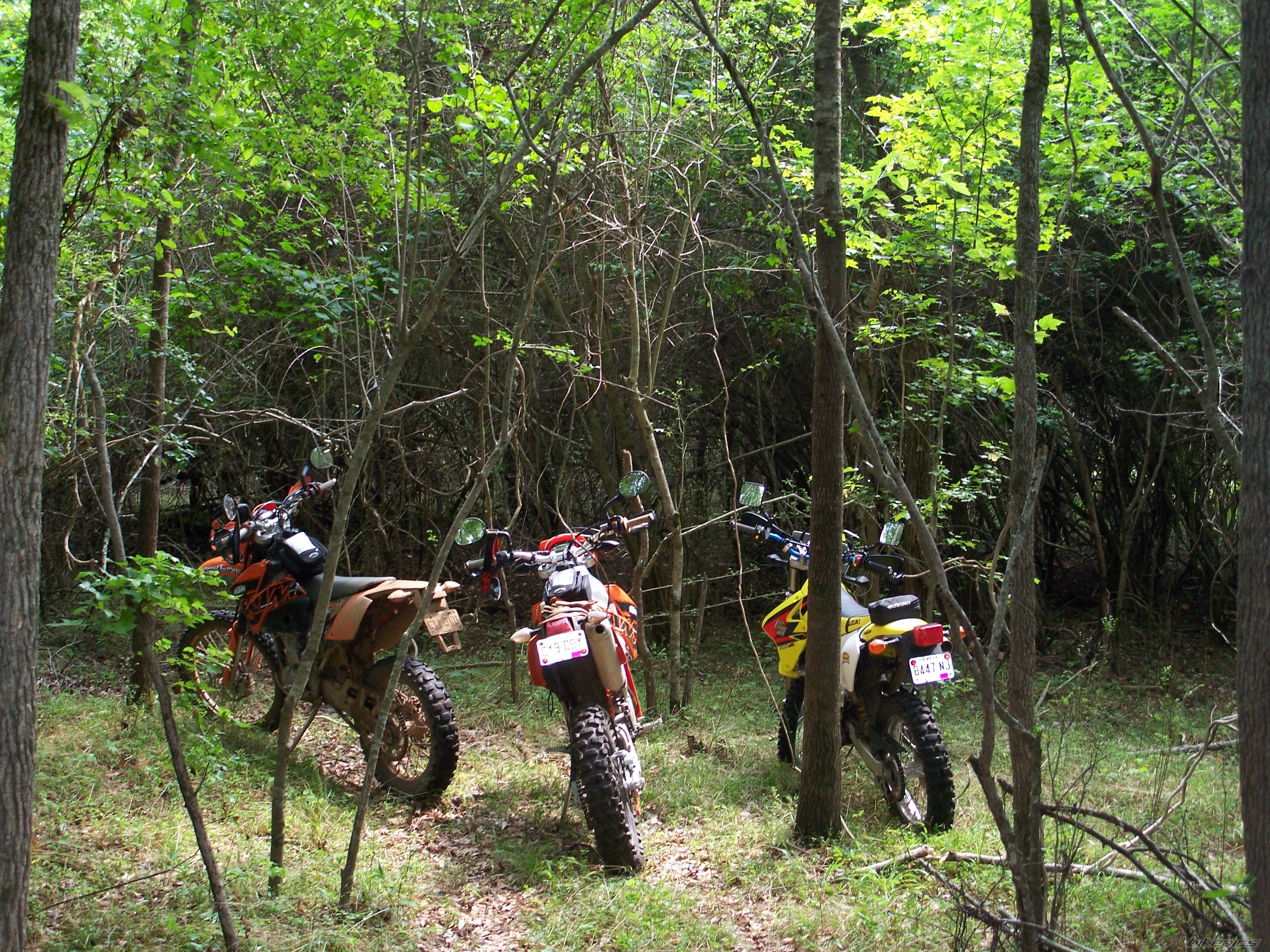 Photo 962816