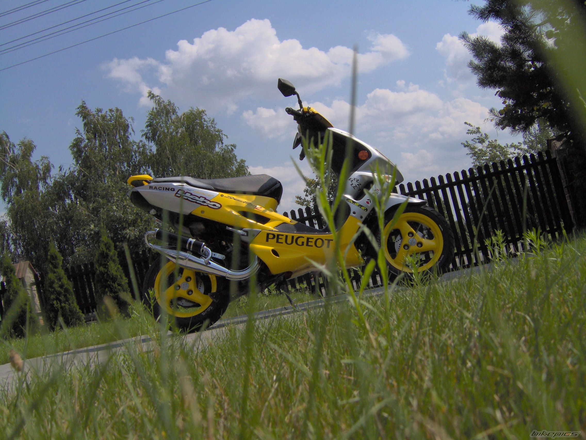 Photo 963284