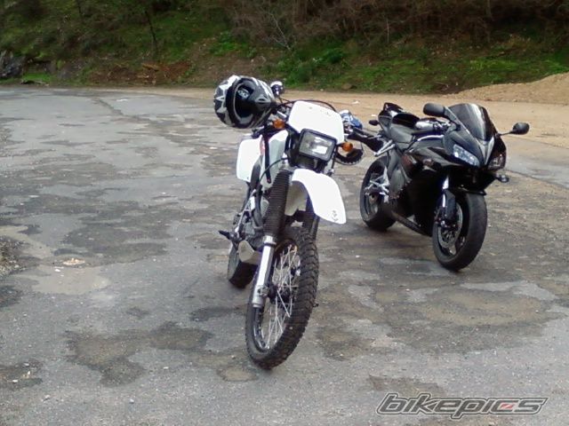 Photo 963295
