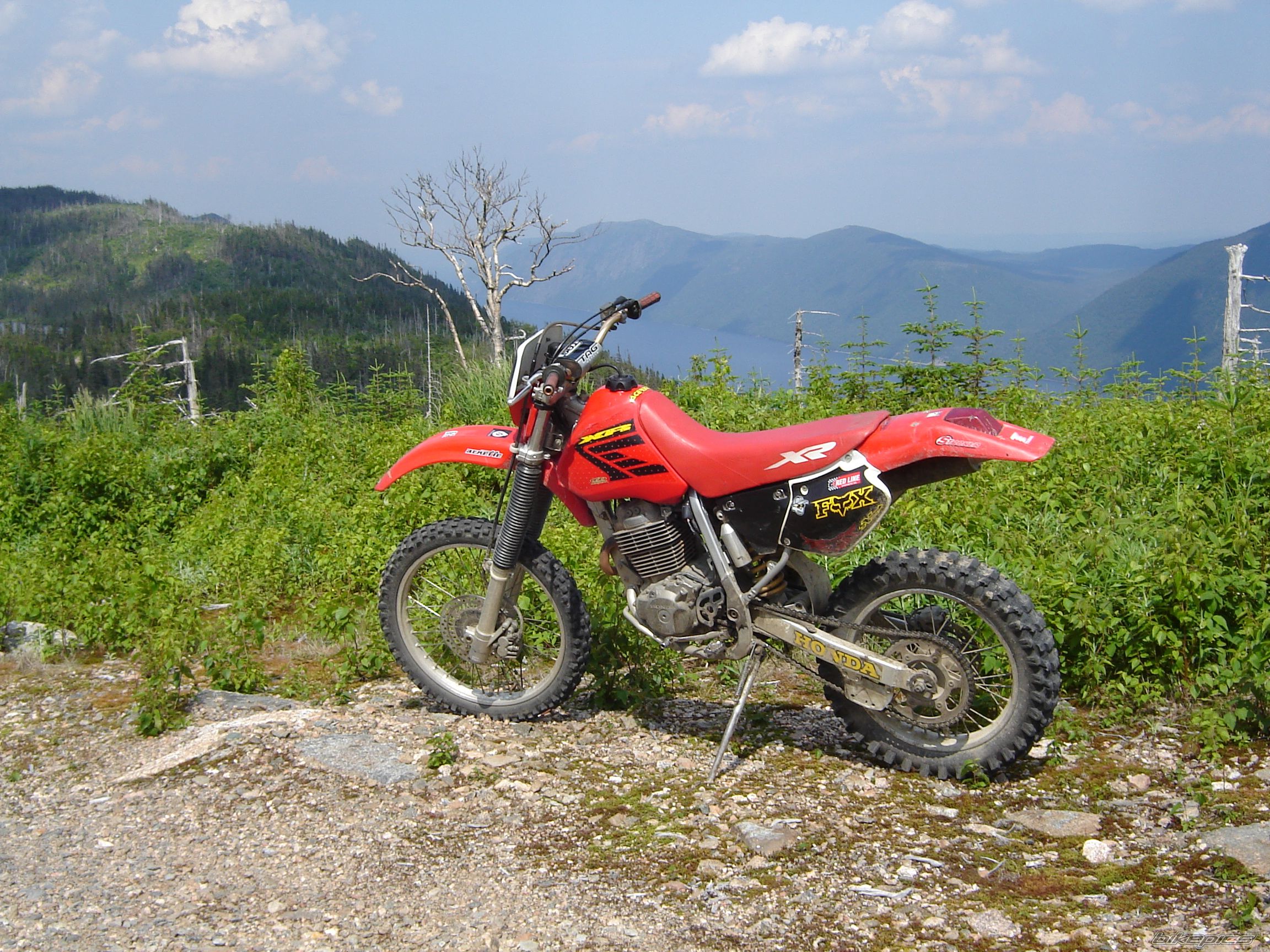 Bike Photo 964012