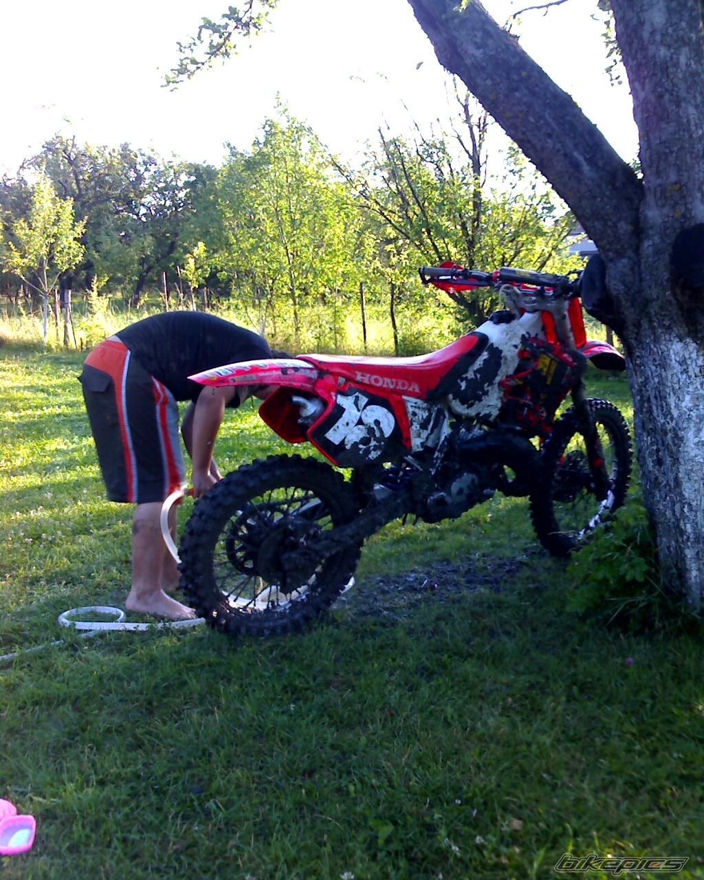 Photo 964192