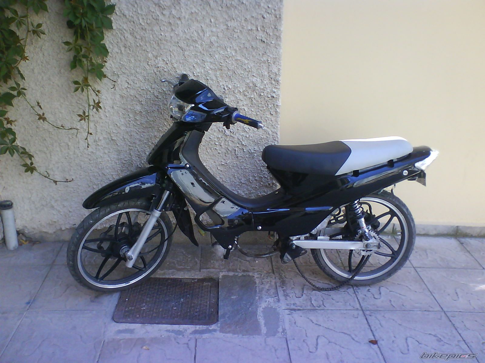 Photo 964534