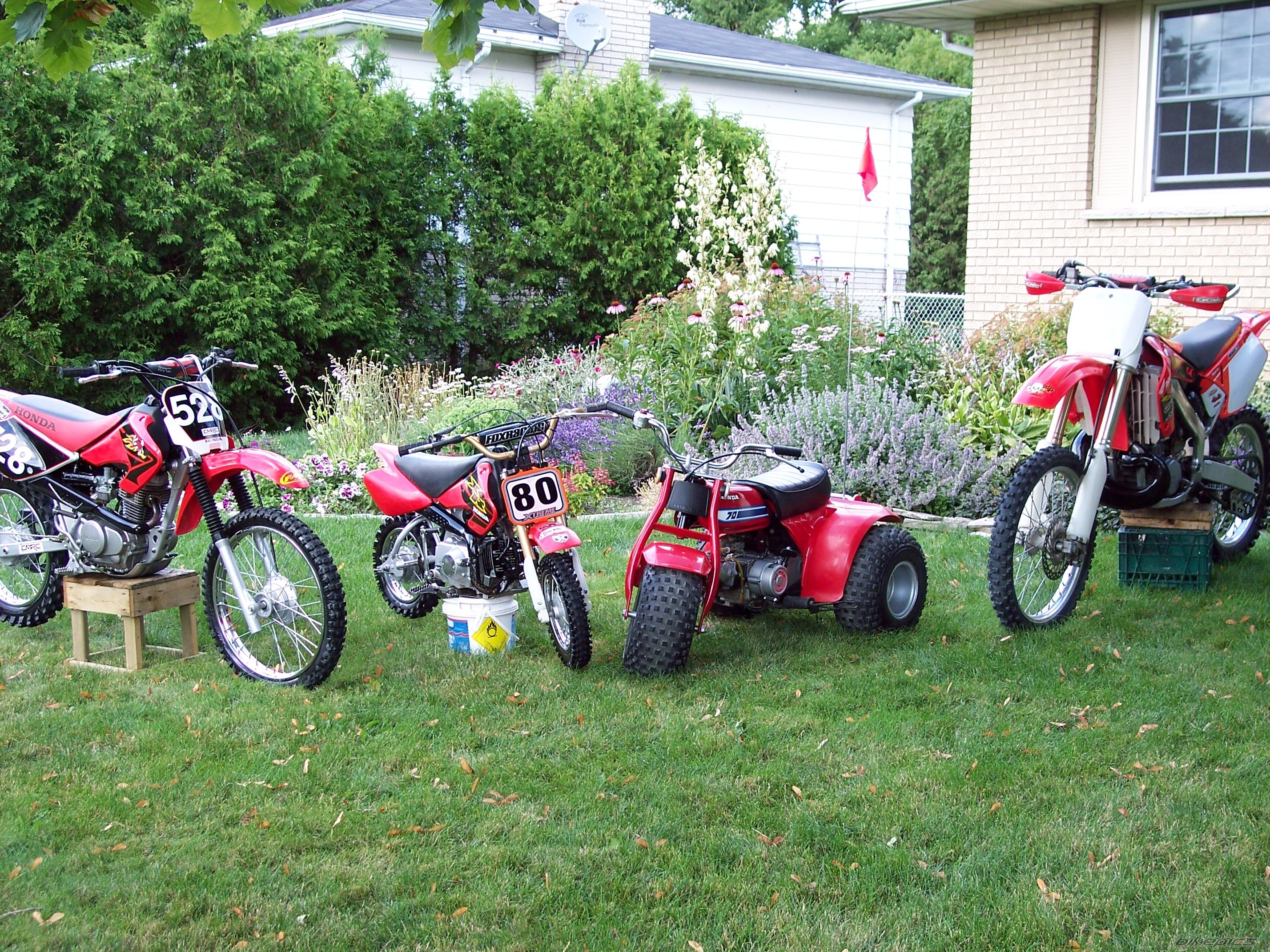 Photo 964542