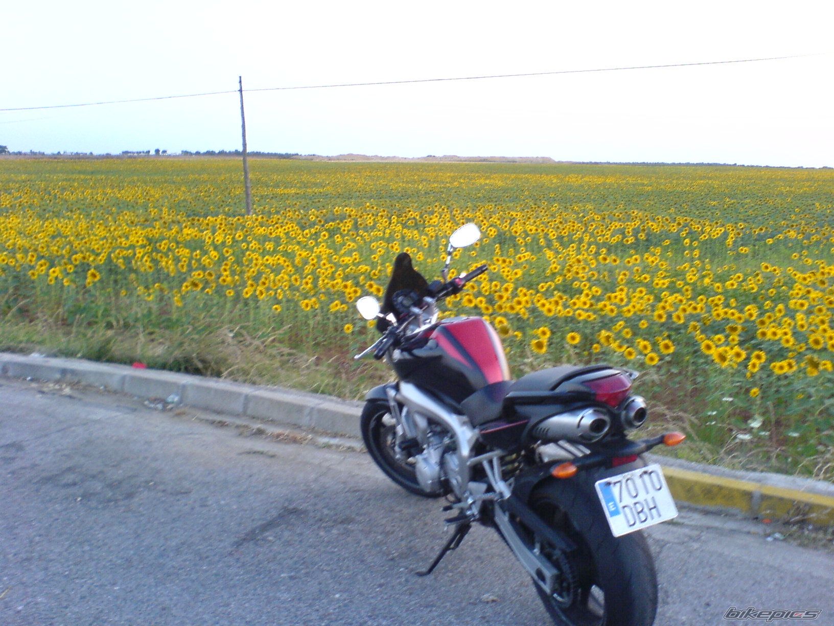 Photo 964729
