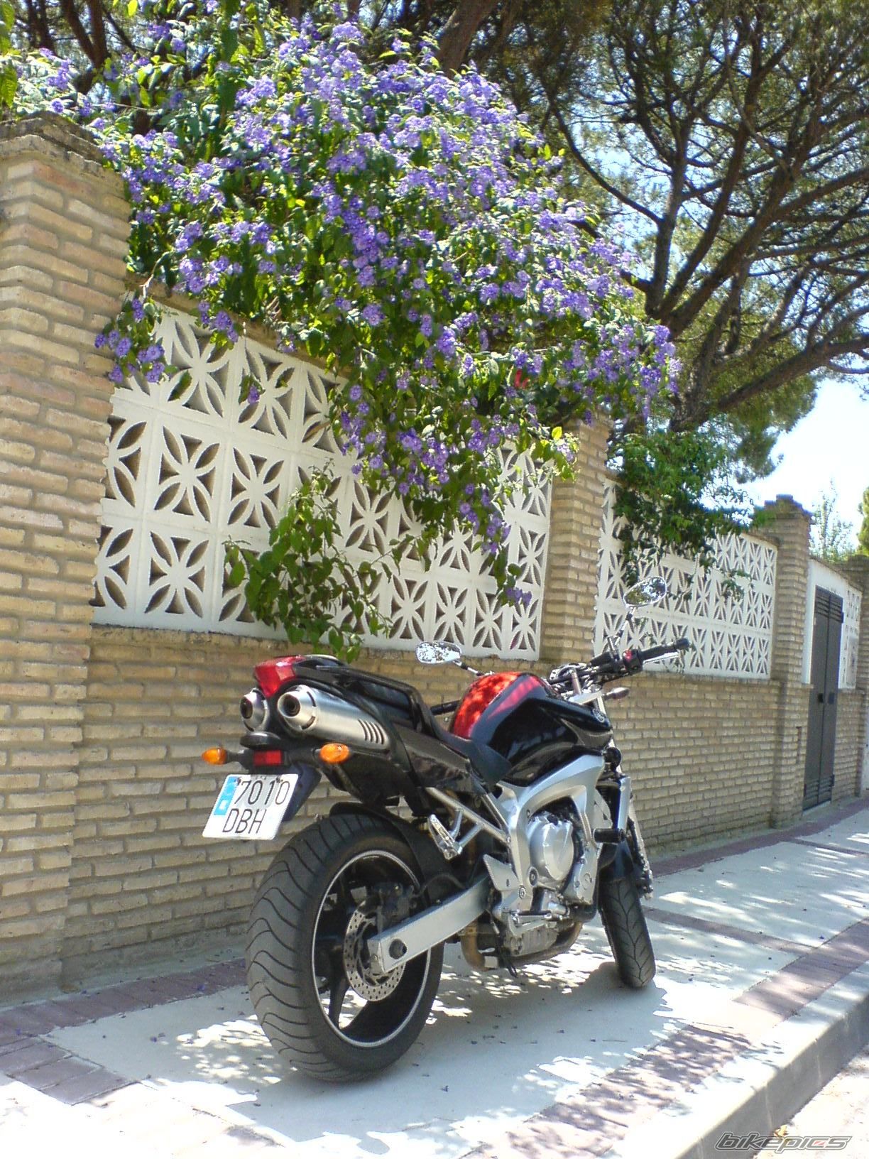 Photo 964734