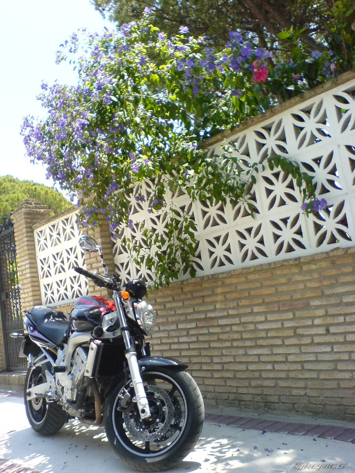 Photo 964735