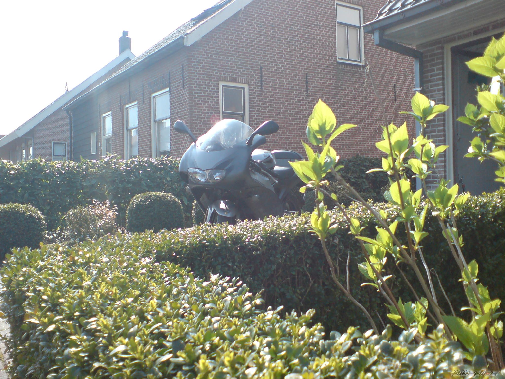 Photo 964754