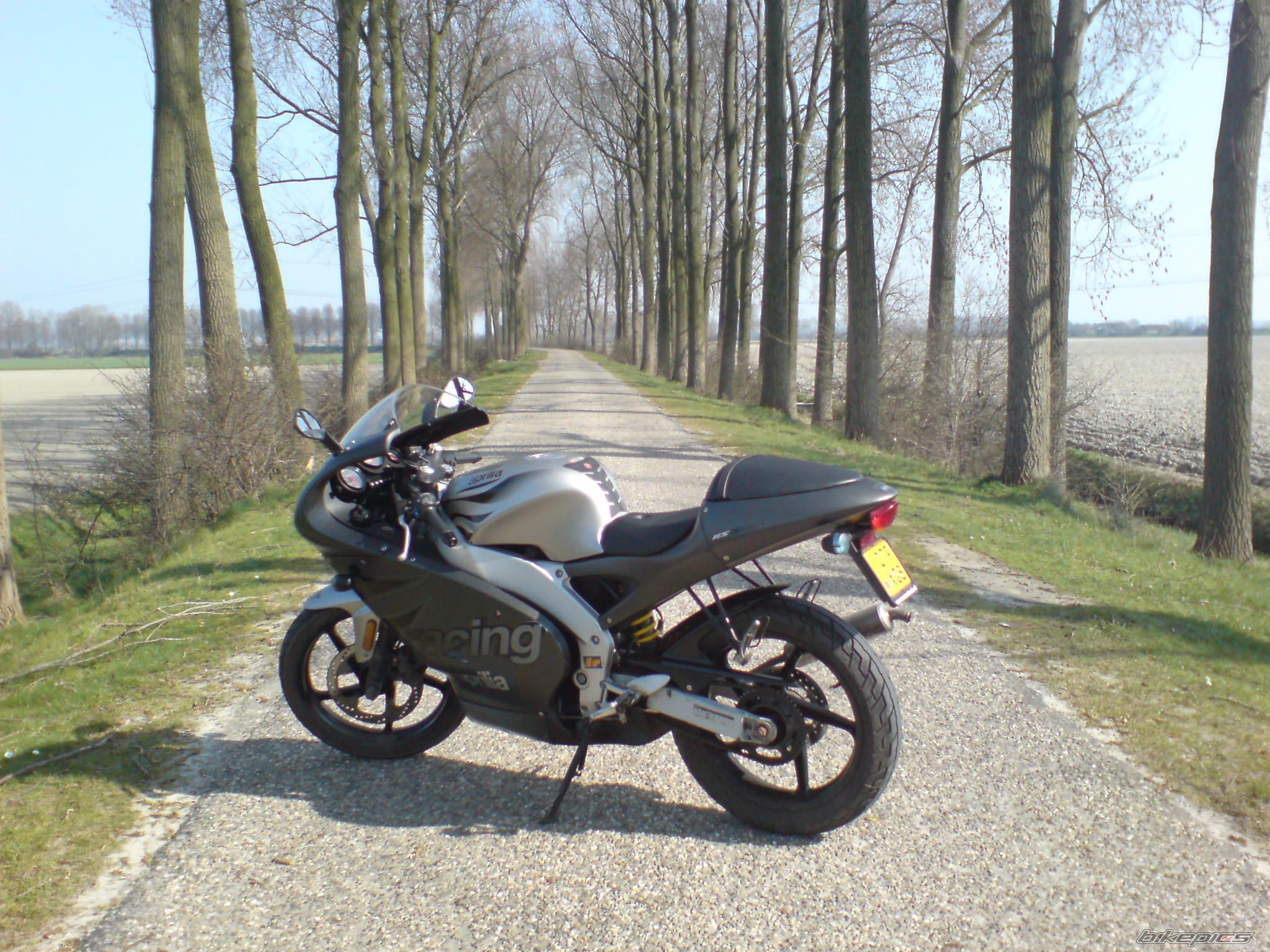Photo 964759