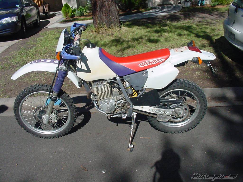 Bike Photo 965