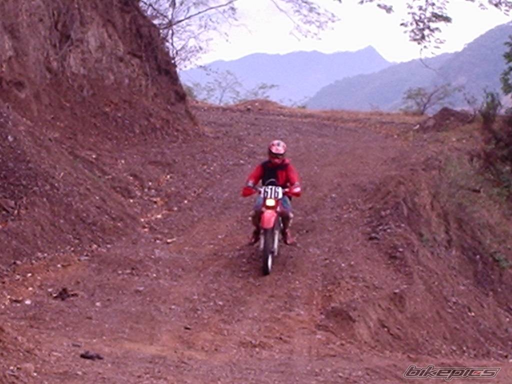 Bike Photo 96548
