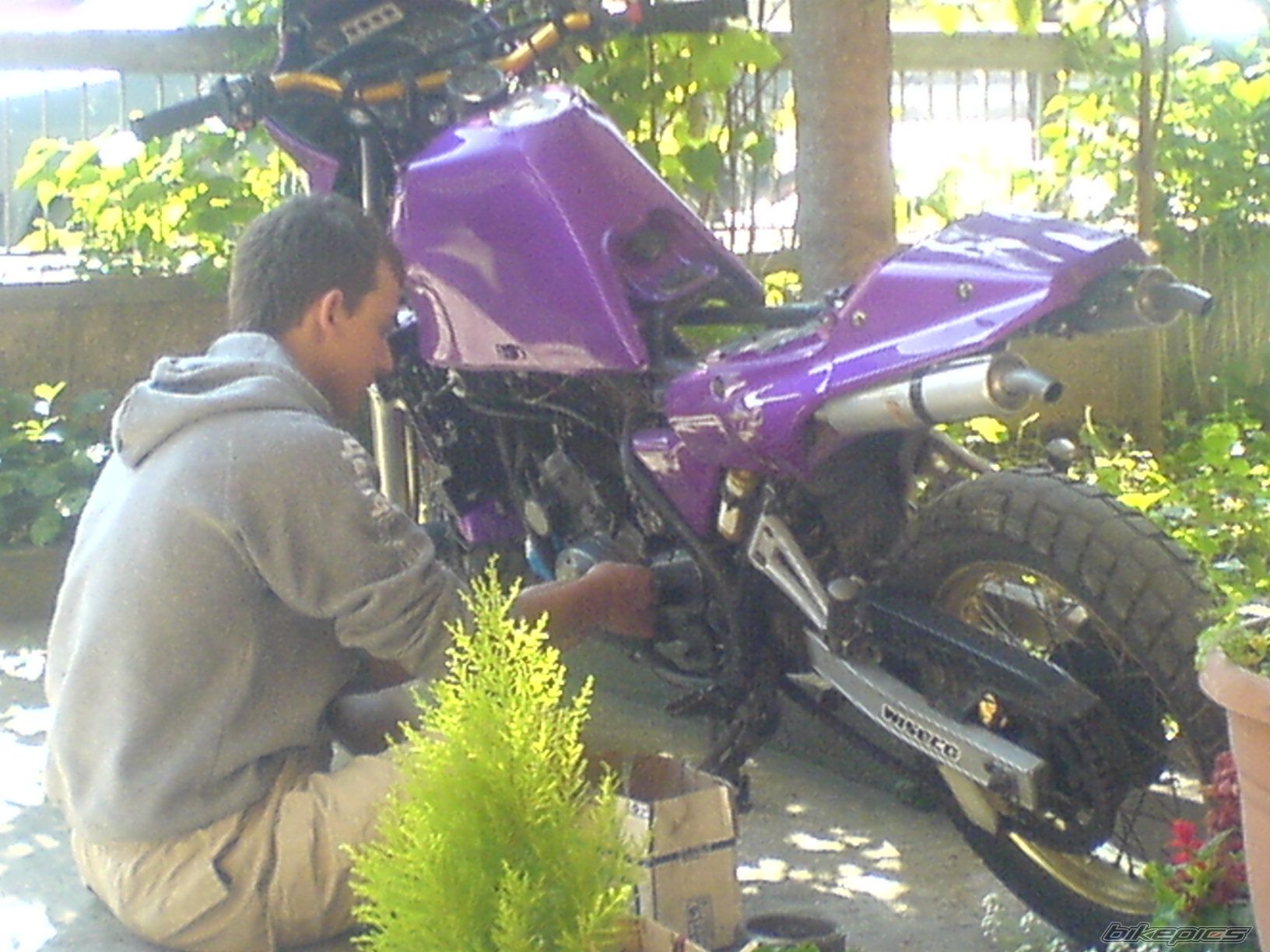 Bike Photo 965528