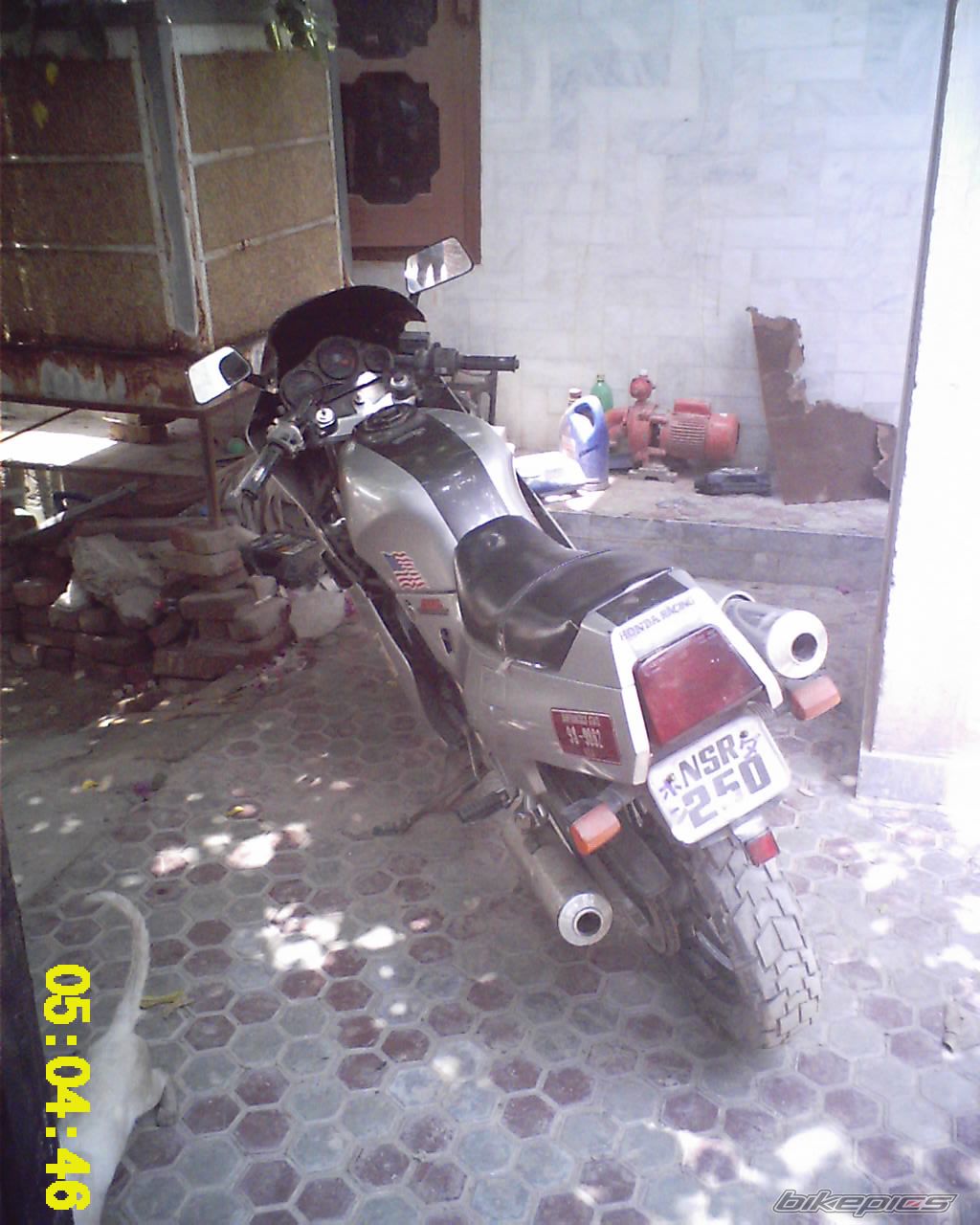Photo 965979