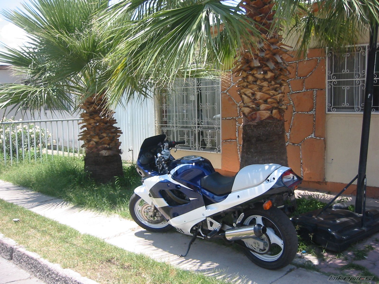 Photo 966283