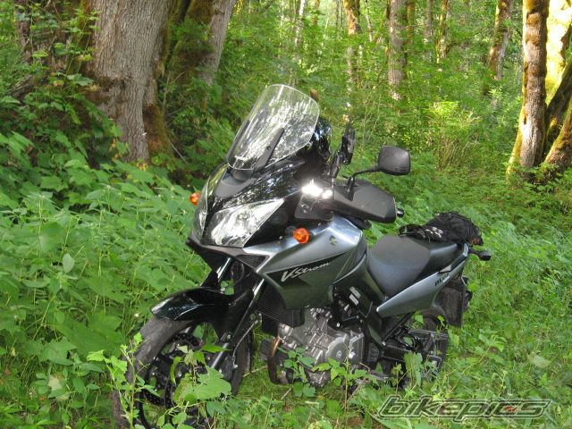 Photo 966306