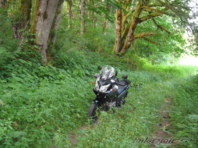 Photo 966312