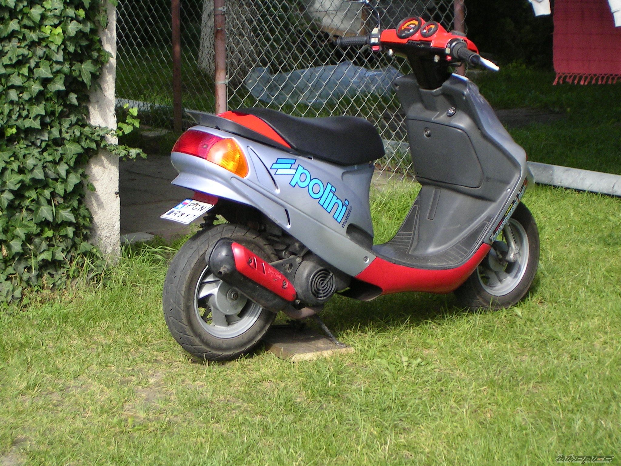 Photo 966381