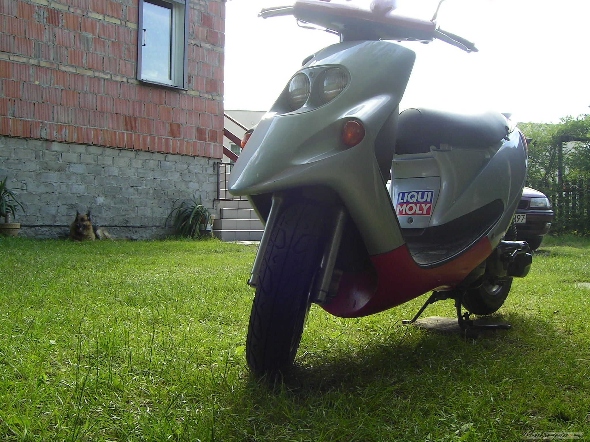 Photo 966383