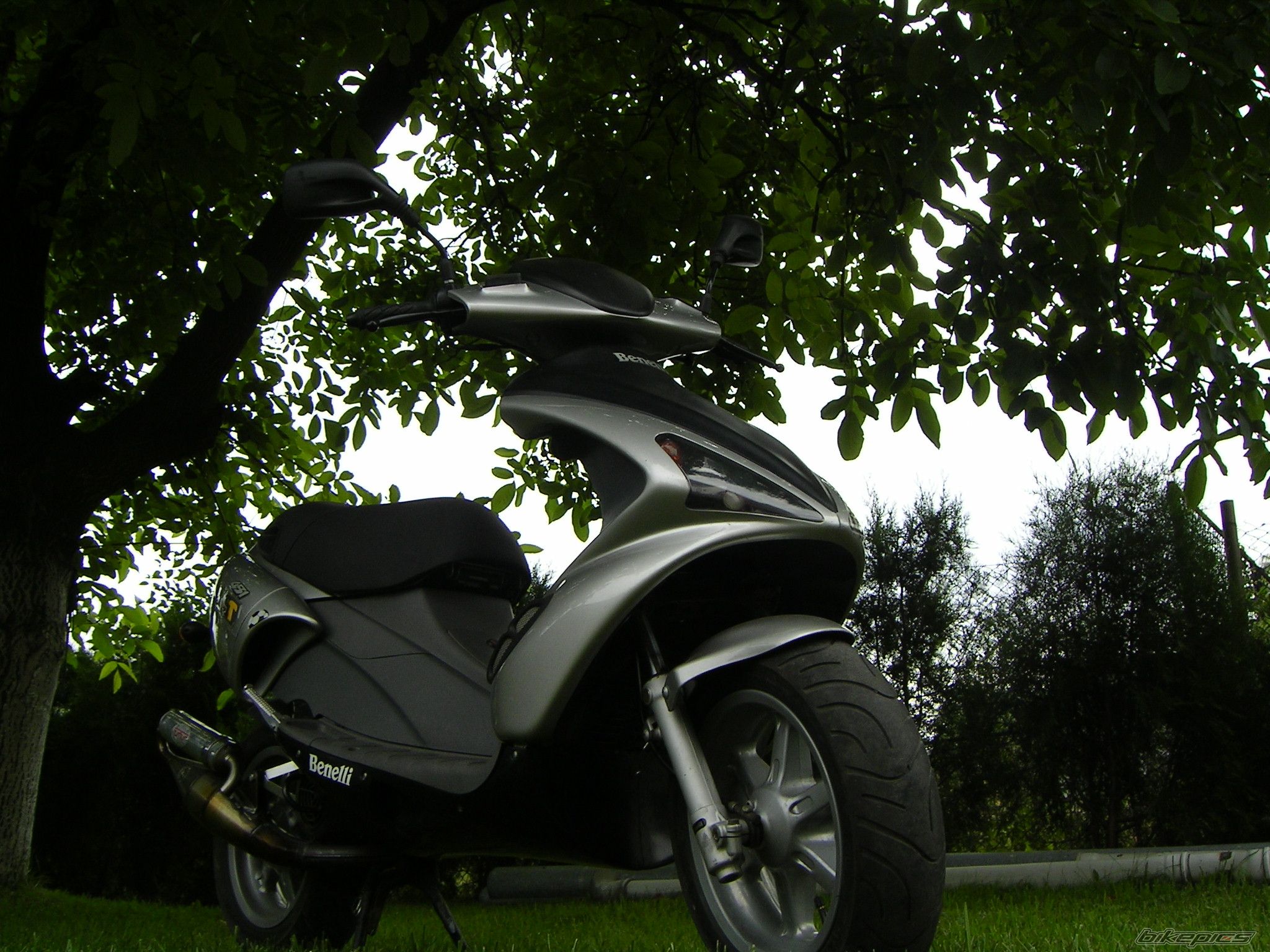 Photo 966405
