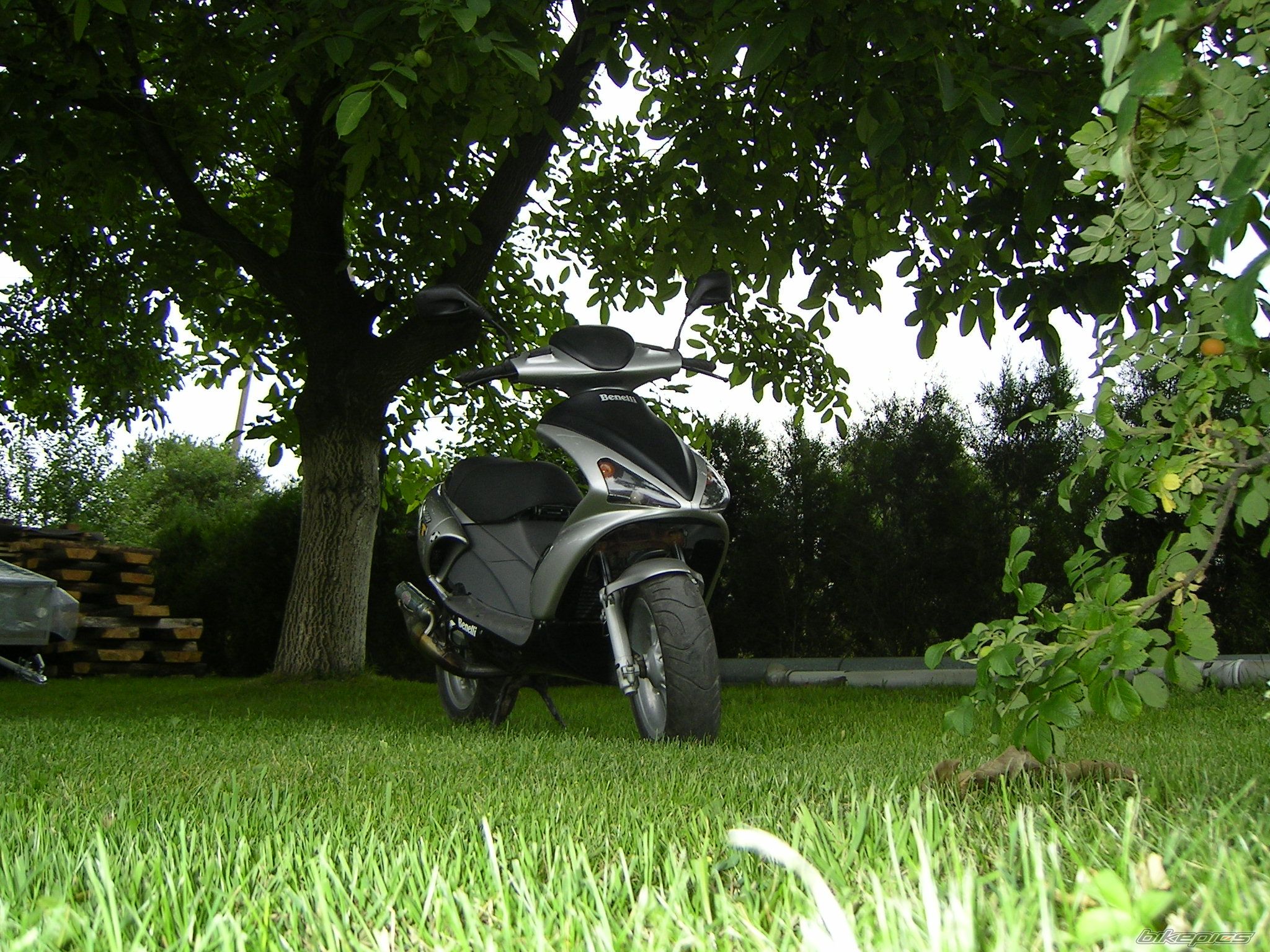 Bike Photo 966419