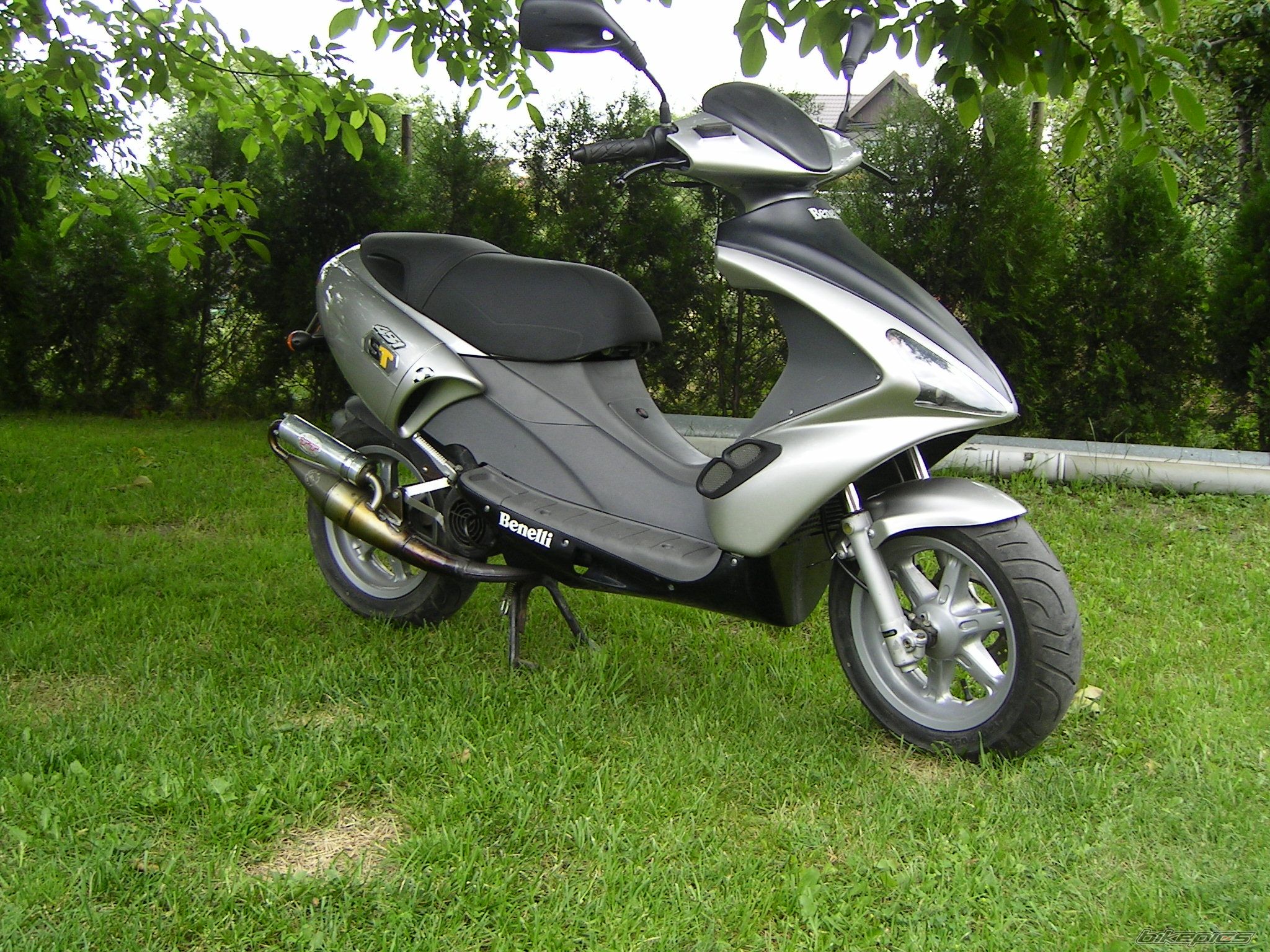 Photo 966421