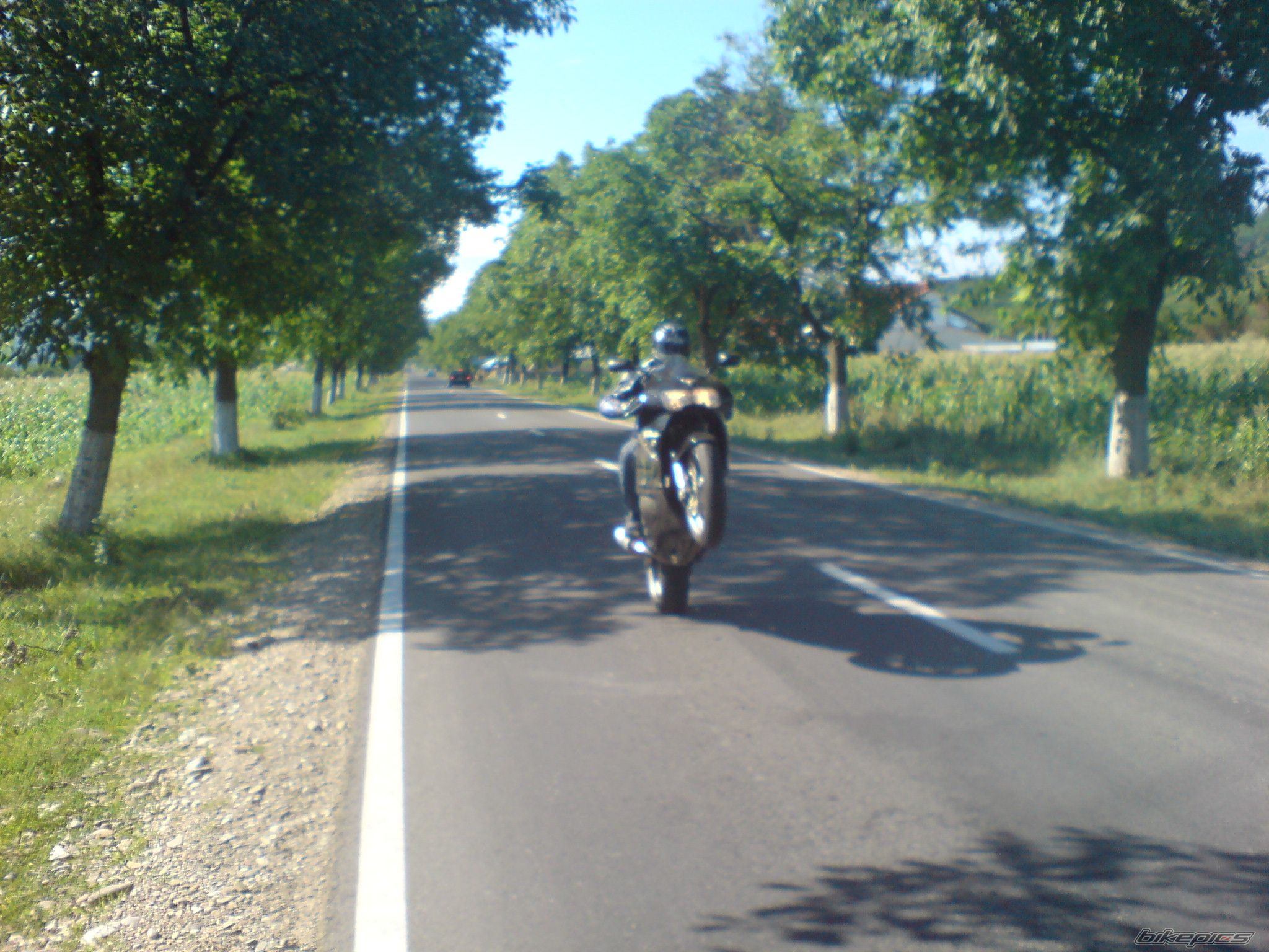 Bike Photo 966451