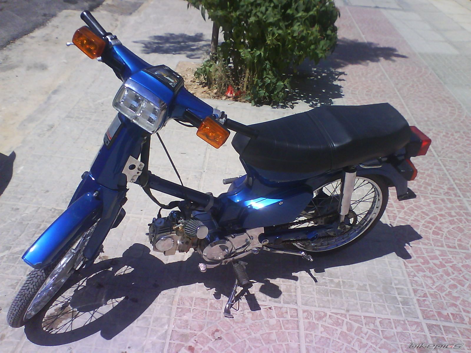 Photo 966539