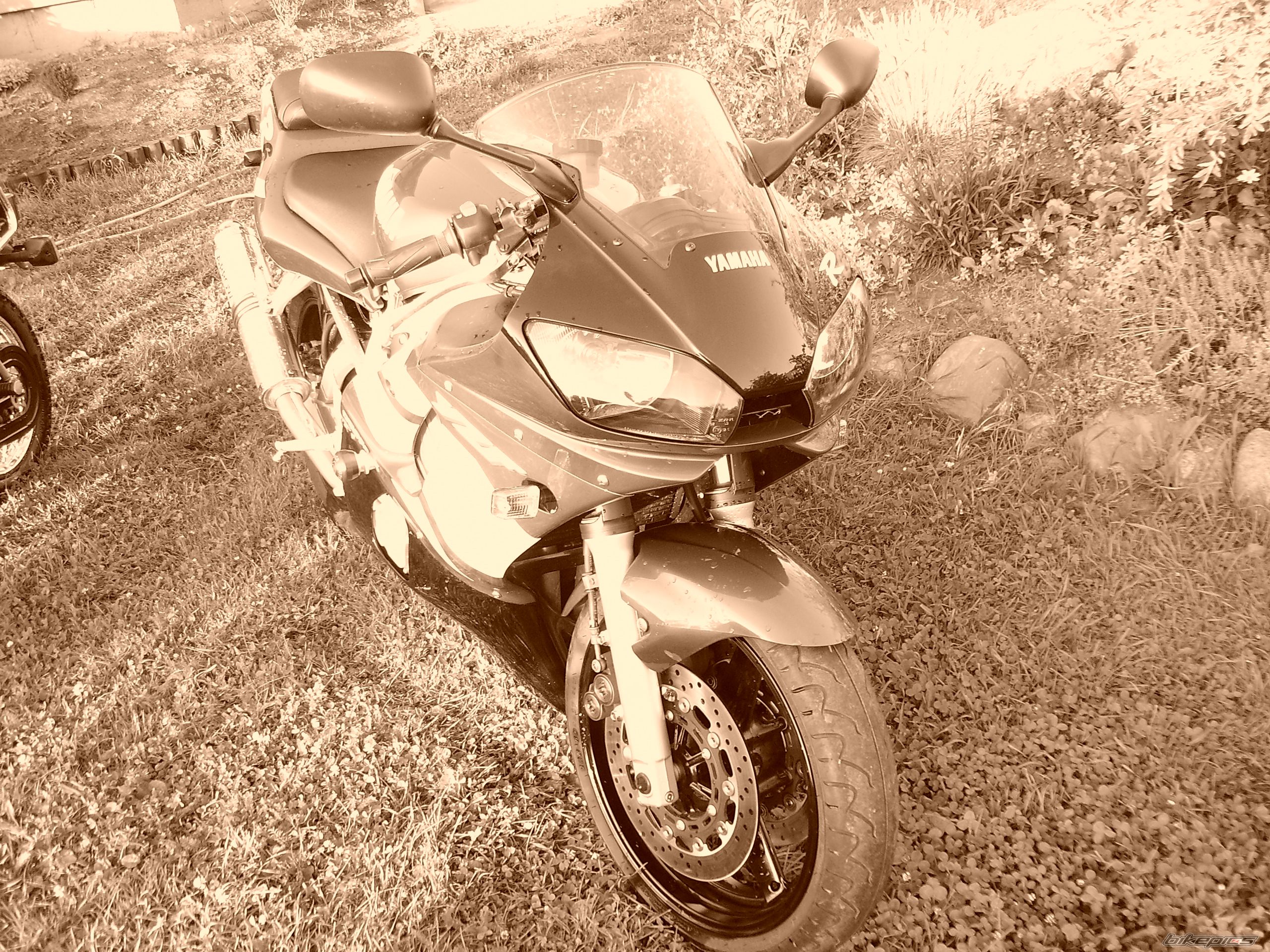 Photo 966633