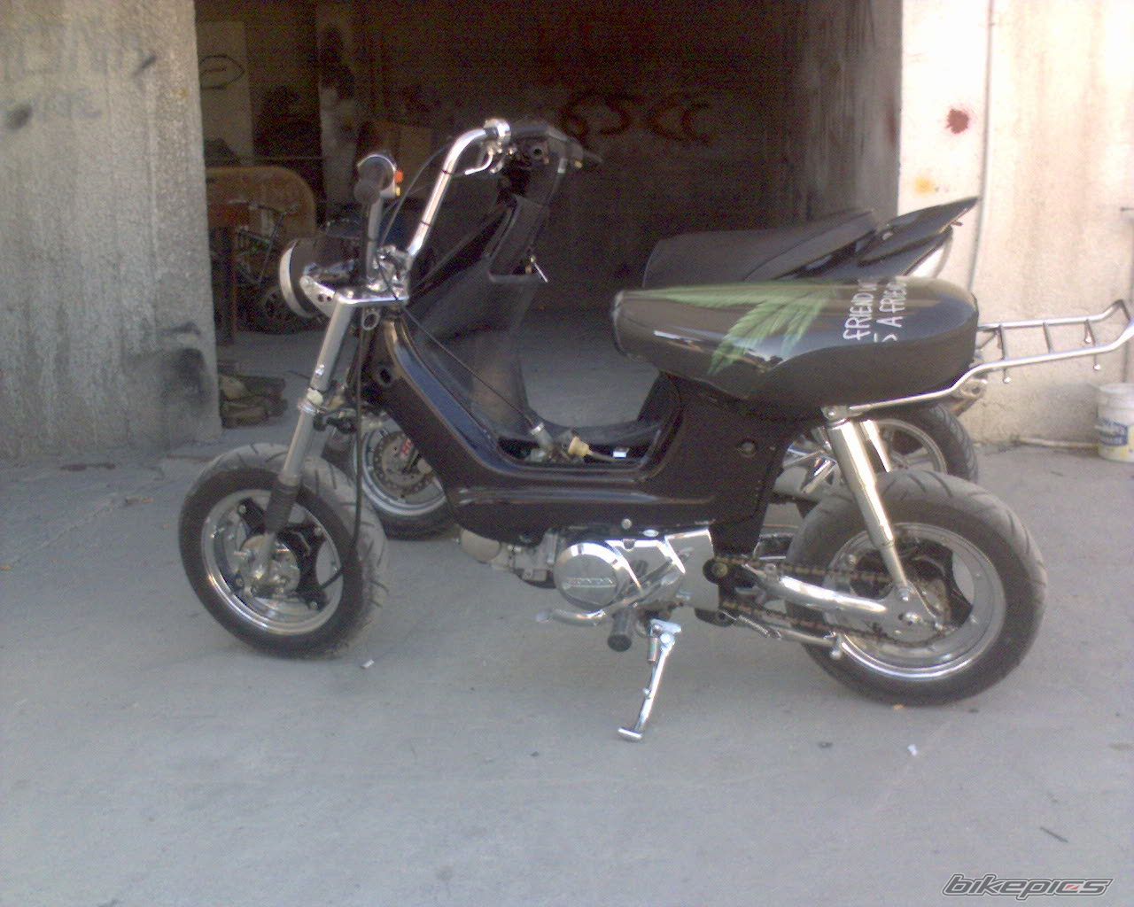 Photo 966676