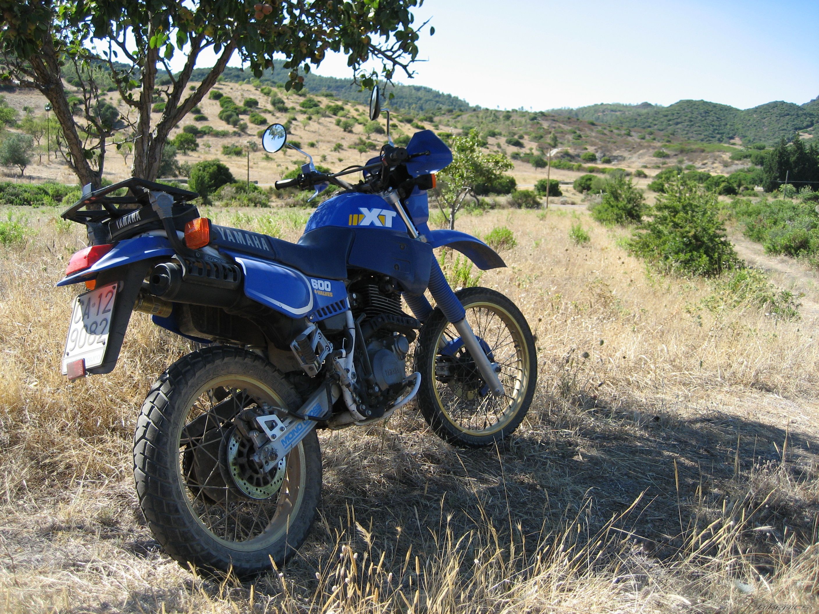 Bike Photo 966928
