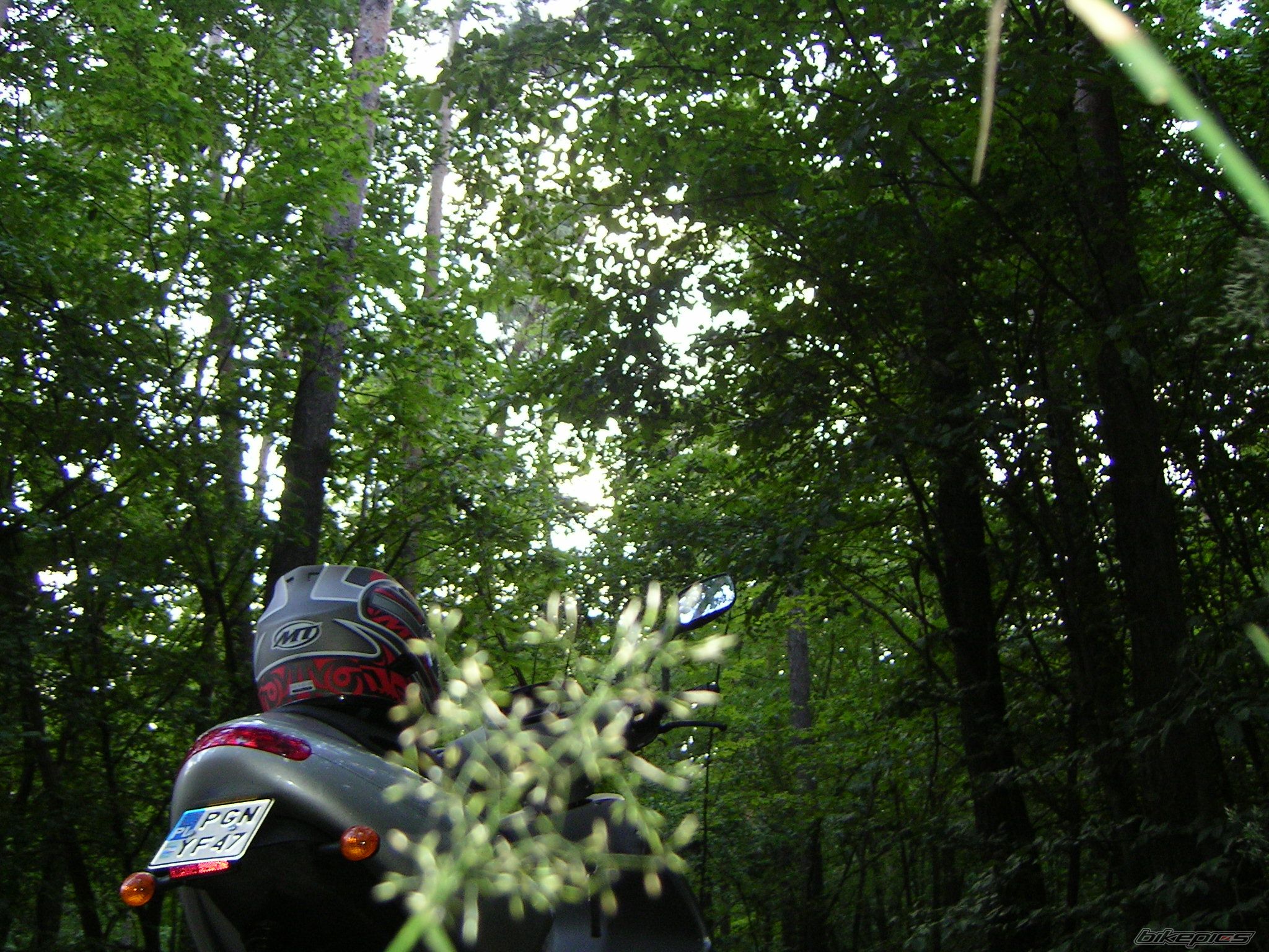 Photo 966976