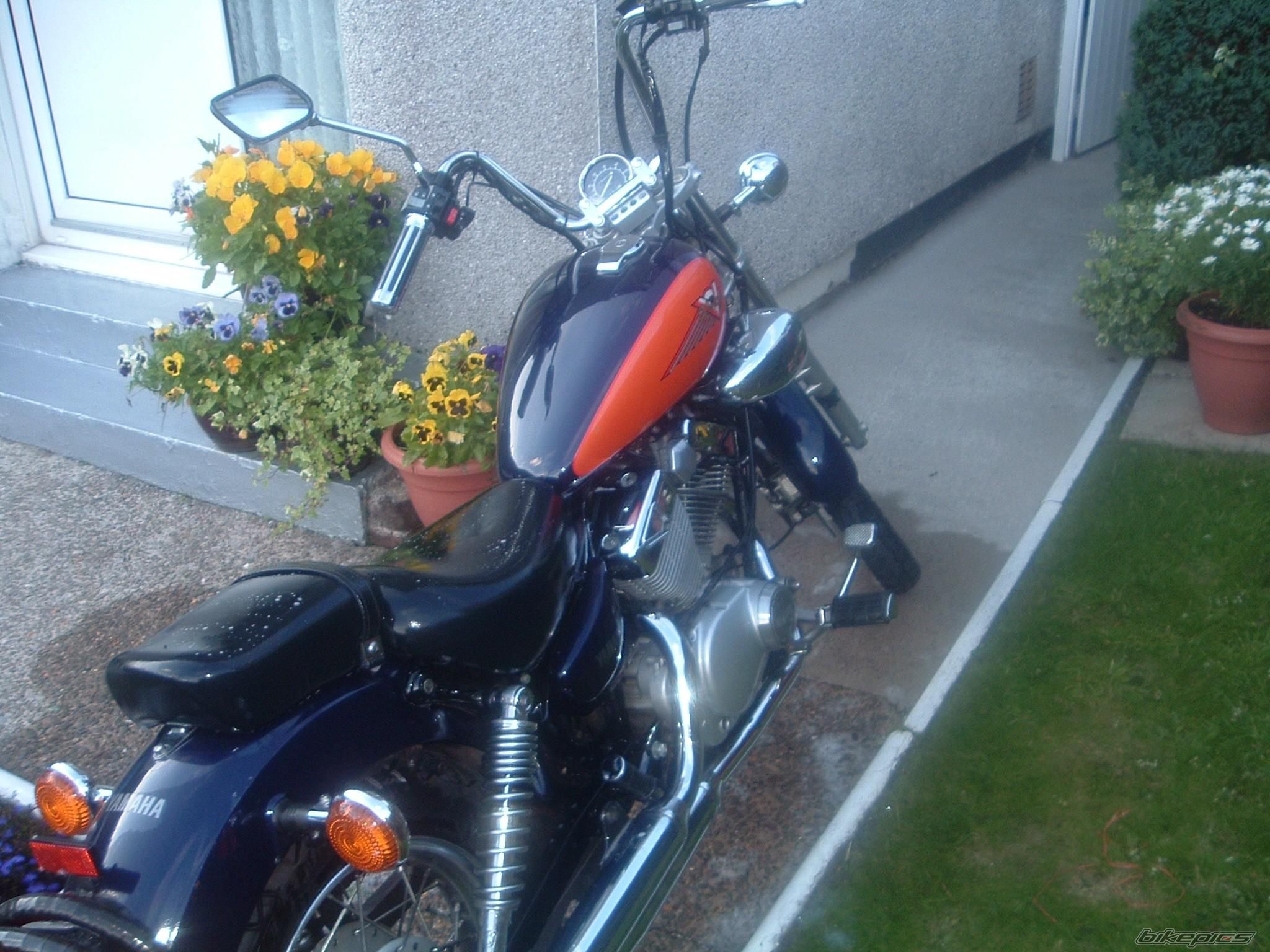 Photo 967095