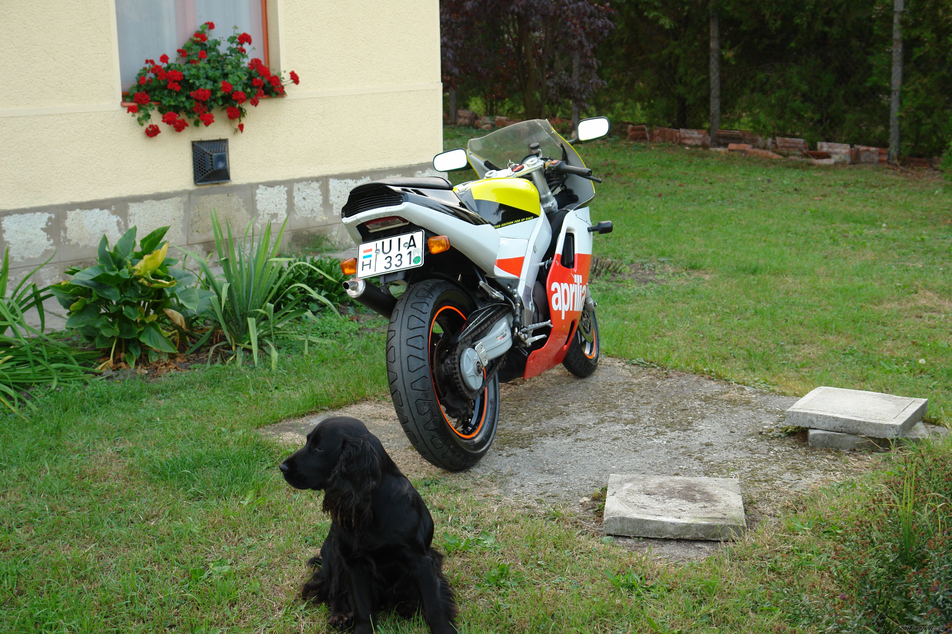 Photo 967098