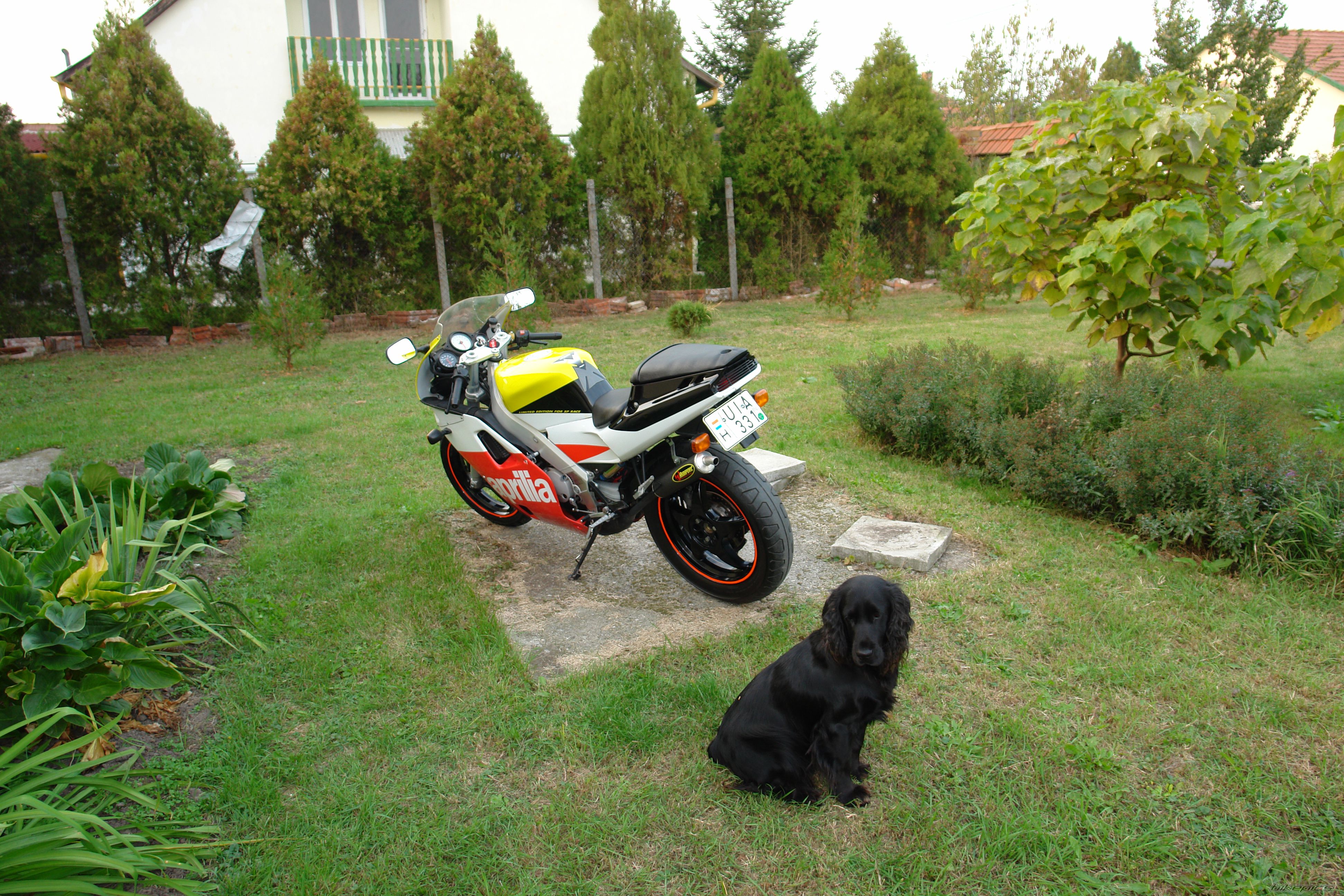 Bike Photo 967108
