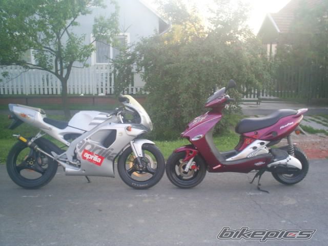 Photo 967165