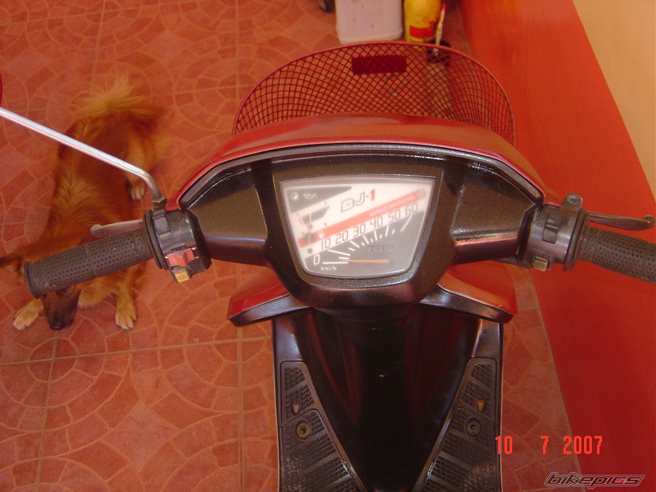 Photo 967227