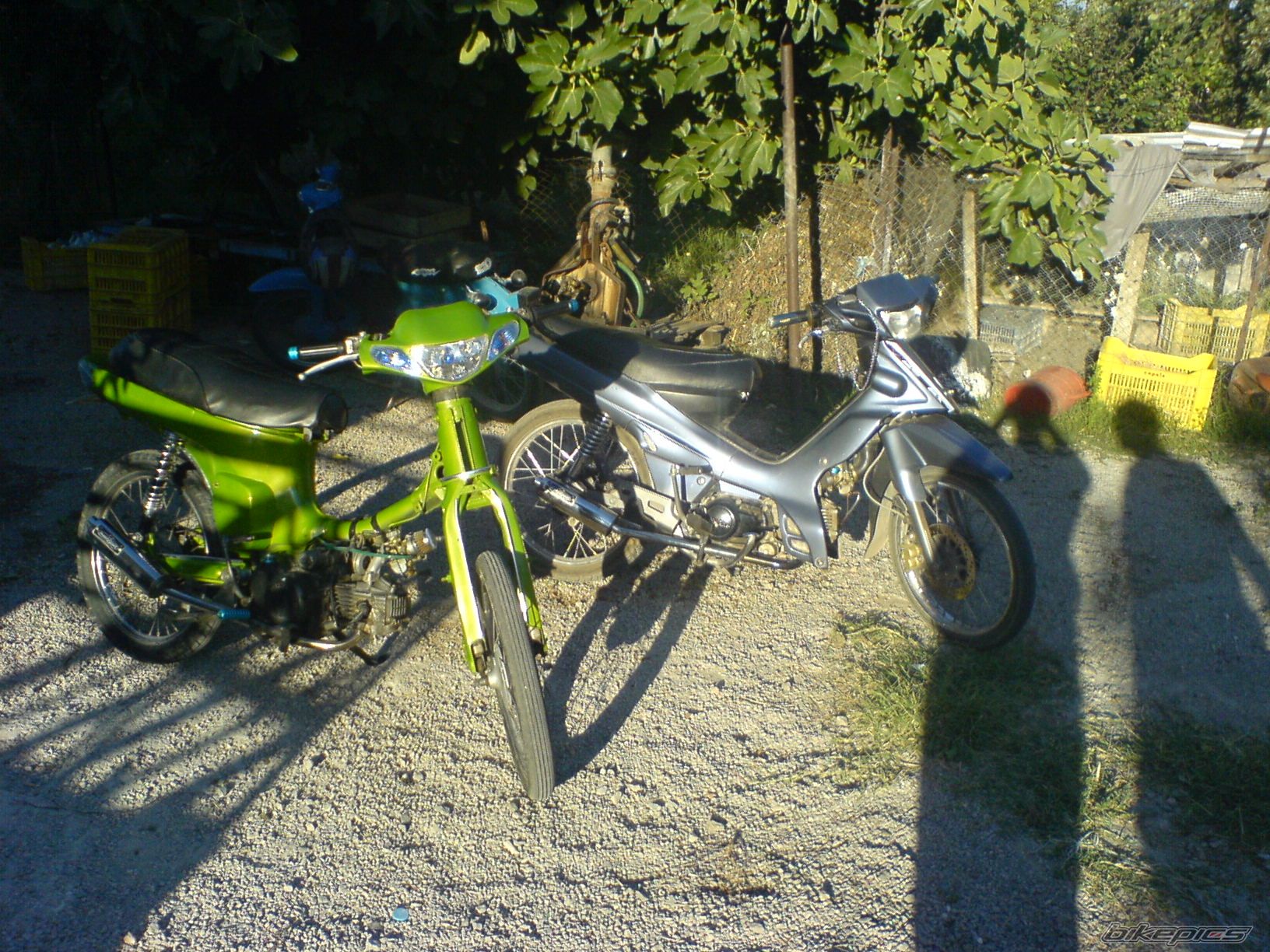 Photo 967370