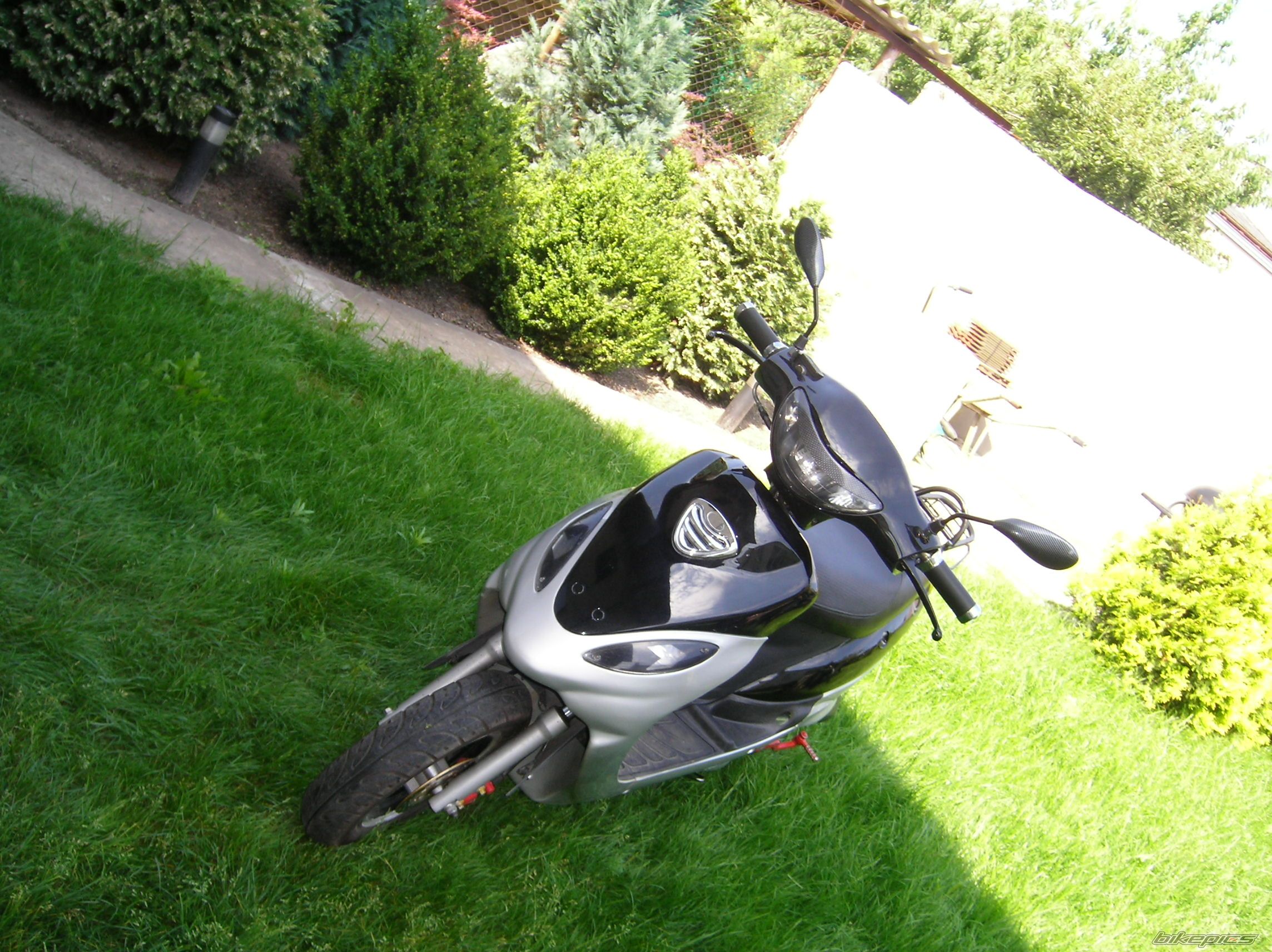 Photo 967645