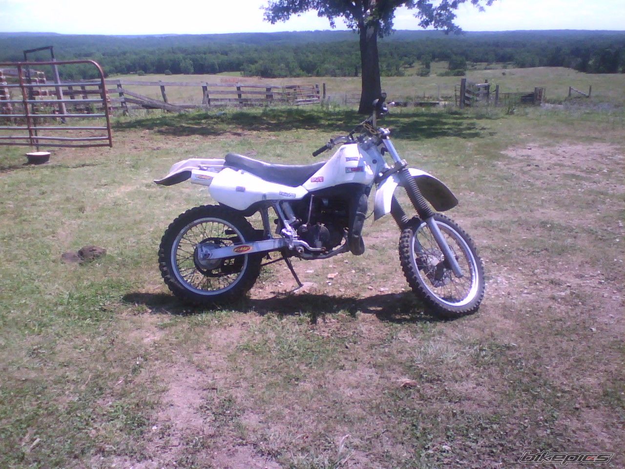 Photo 967884