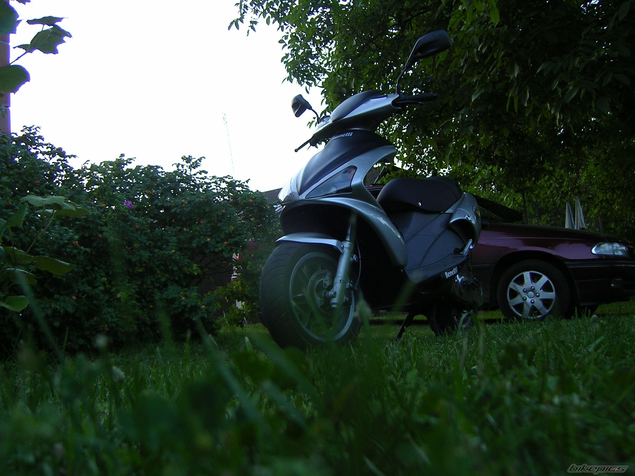 Photo 968067