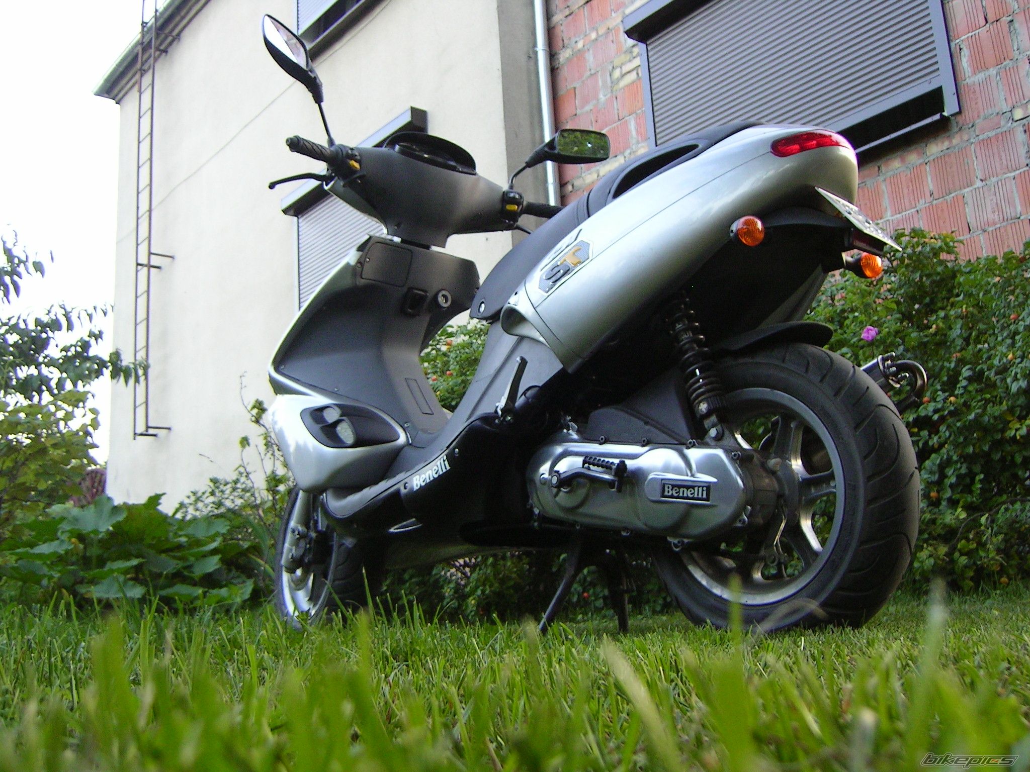 Photo 968069