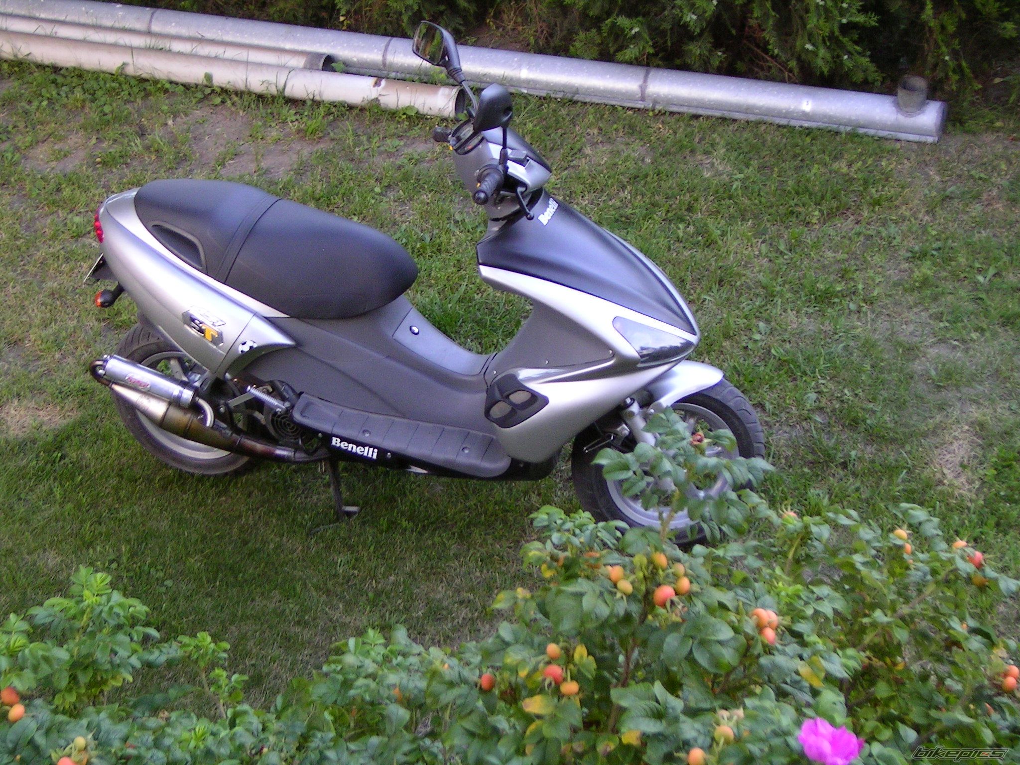 Photo 968072