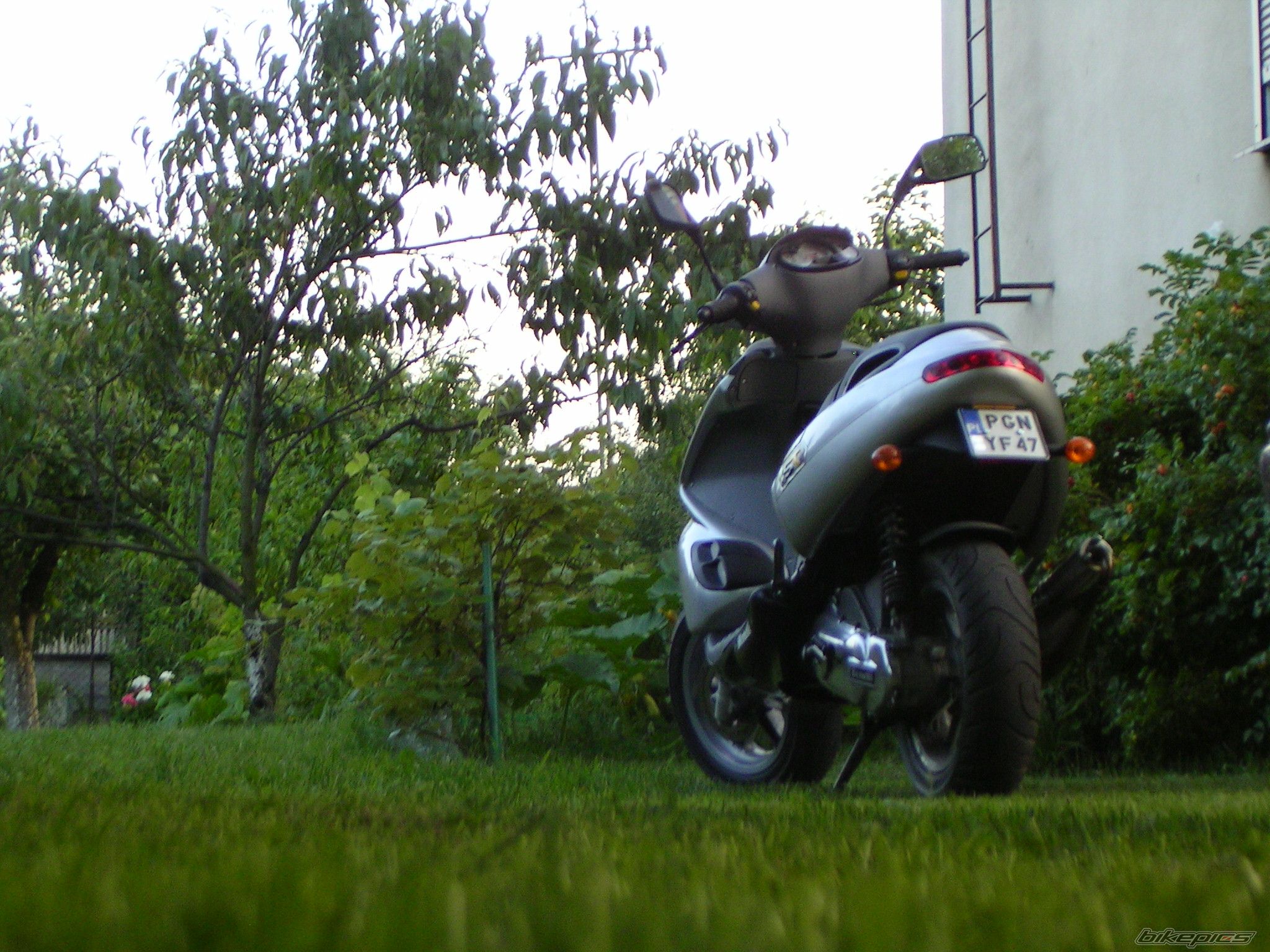 Photo 968076