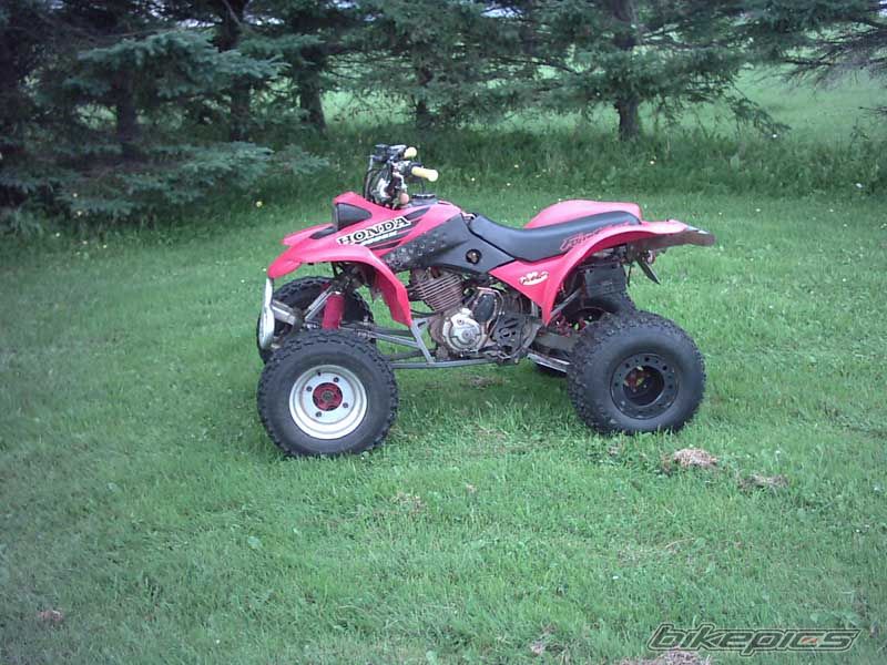 Photo 968203