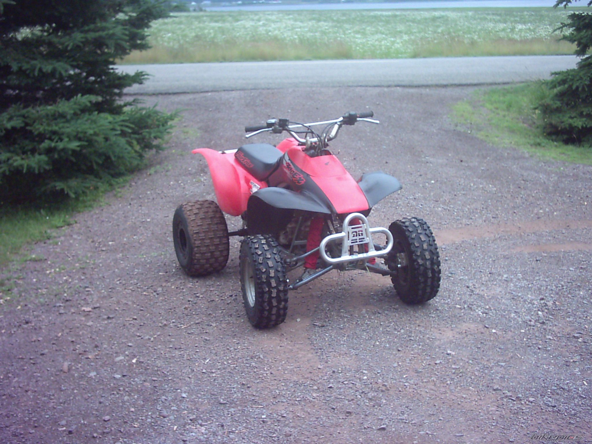 Photo 968210